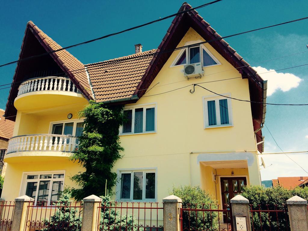 Pensiunea Vila Silva I Hateg Ngoại thất bức ảnh